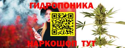 соль ск Шелехов