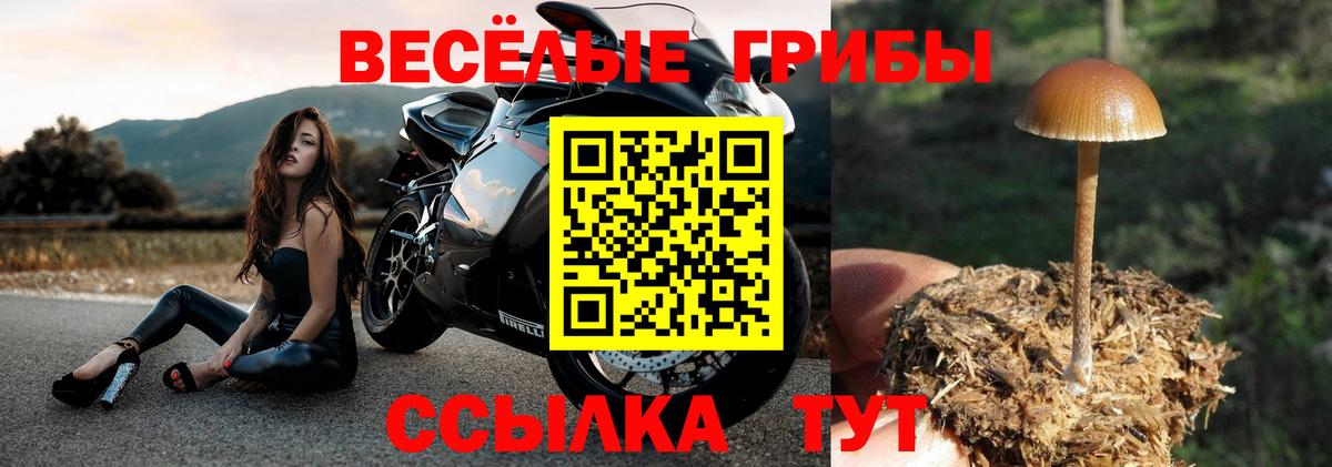 Псилоцибиновые грибы ЛСД Серпухов